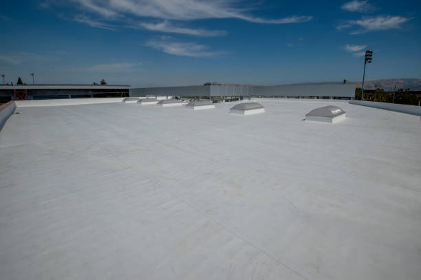 Best Sheet Metal Roofing  in Falmouth, KY