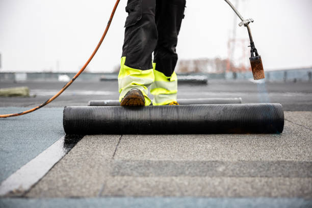 Best Roof Maintenance and Cleaning  in Falmouth, KY