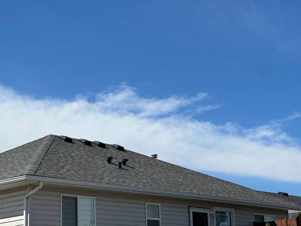 Best Roof Leak Repair  in Falmouth, KY